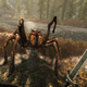 The Elder Scrolls V: Skyrim Special Edition (Steam Key) | $11 | Eneba | Use code HeyUreFinallyAbleToPet
The Elder Scrolls V: Skyrim VR (Steam Key) | $14 | Eneba | Use code HeyUreFinallyAbleToPet